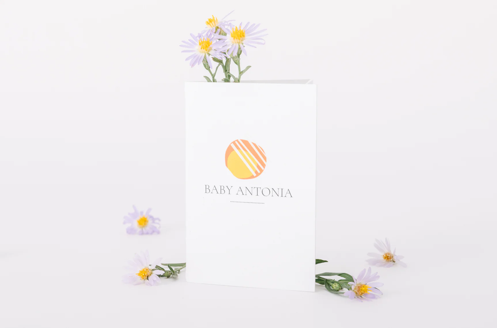 Baby Antonia - Image 7