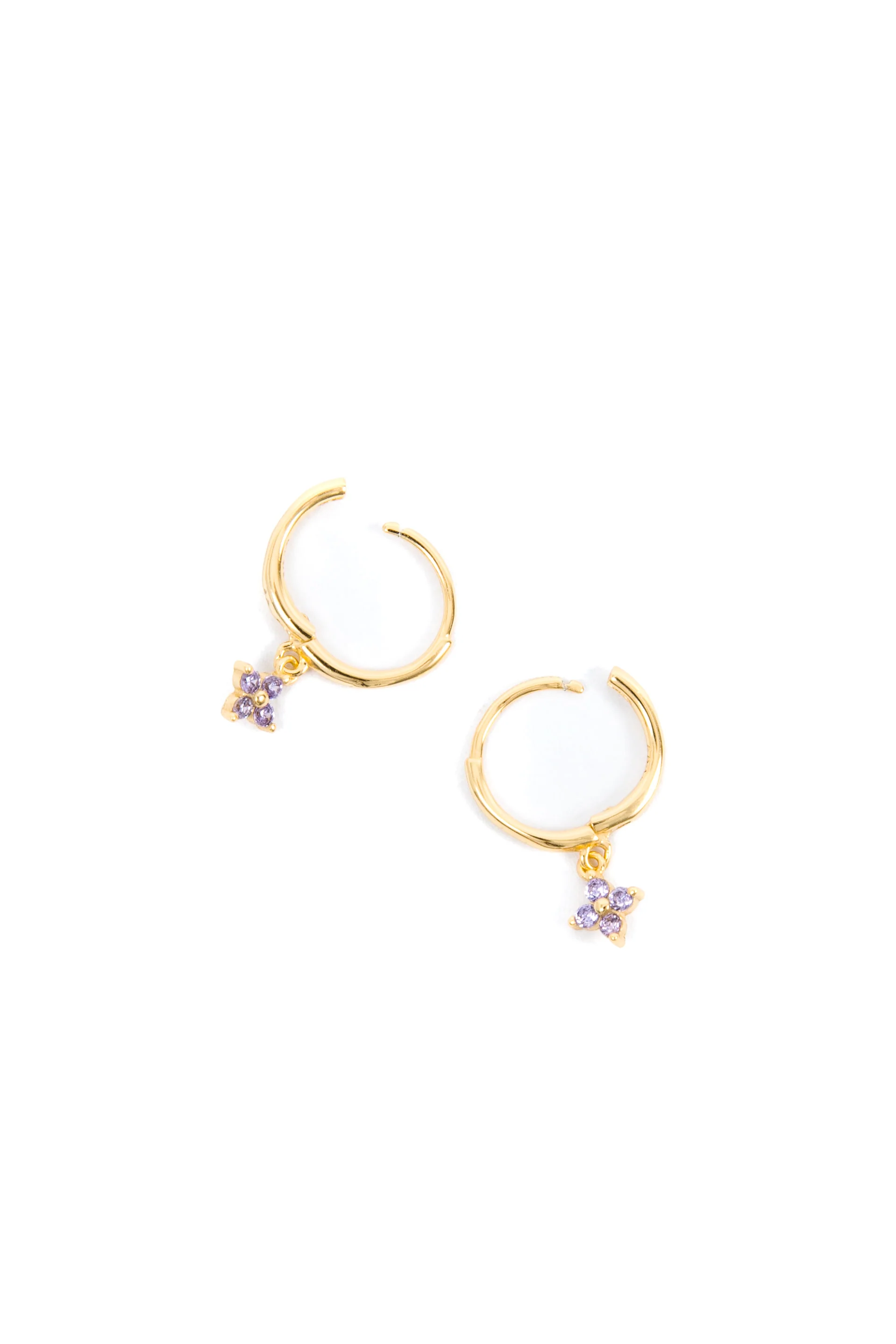 Hoop of the Month - Image 5