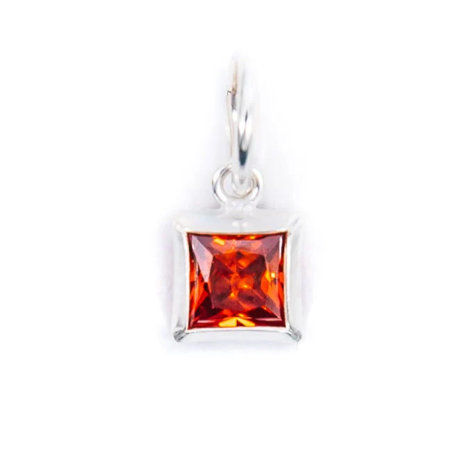 Silver Birthstone Charm - Image 12