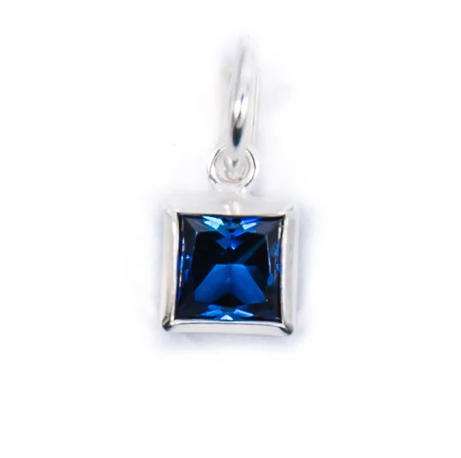 Silver Birthstone Charm - Image 14