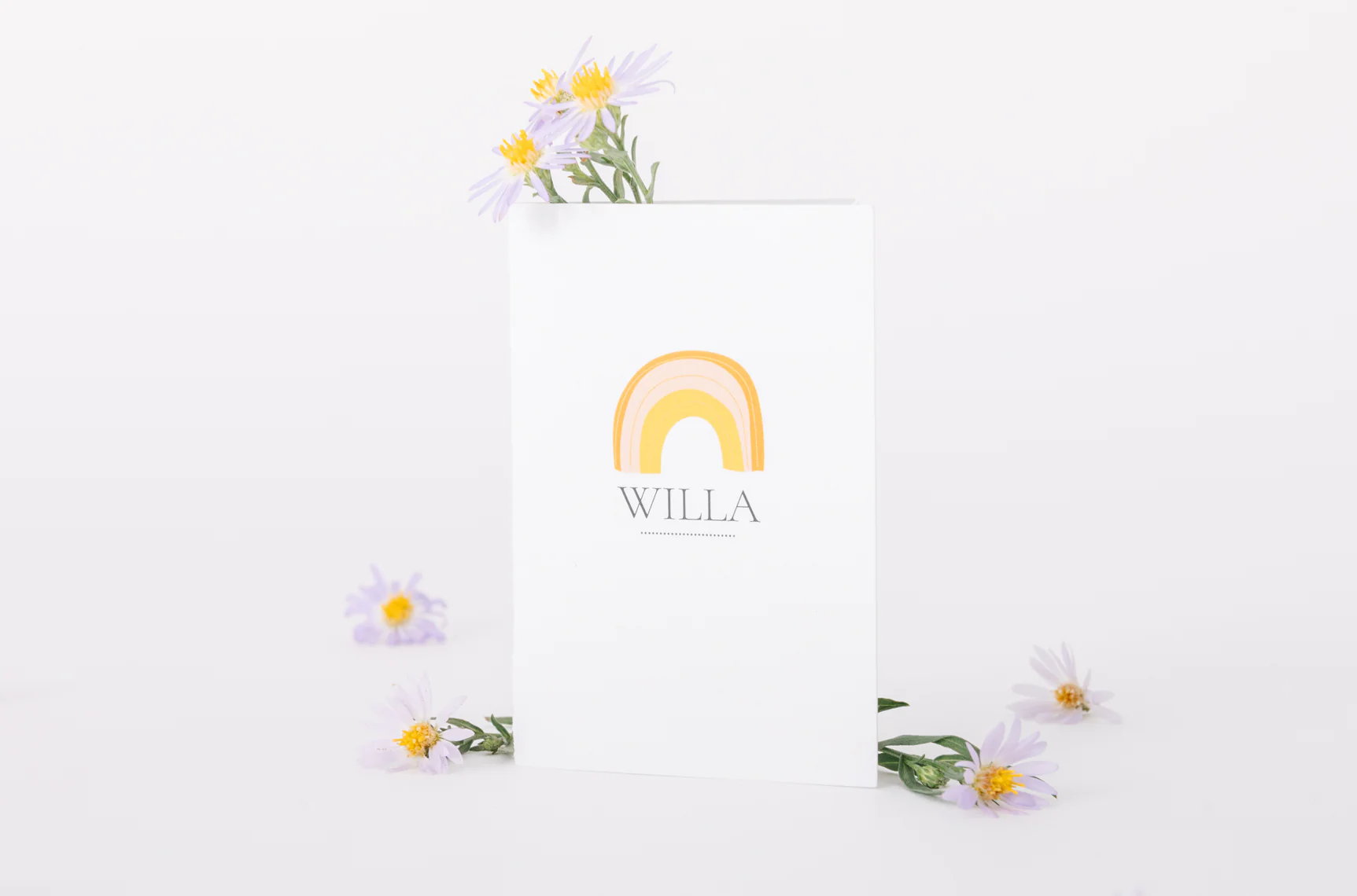Willa - Image 8